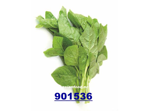 Chinese spinach 200g Mong toi VN