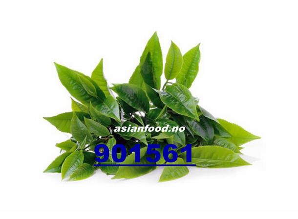 Green tea leaf  80g La tra xanh KH
