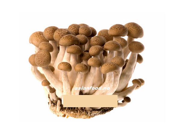 Mushroom lingeur brown 150g Nam Linh chi nau KH