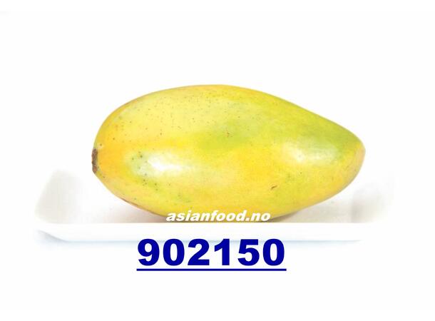 Sweet yellow mango Xoai cat KH