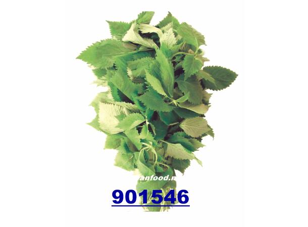Yeera leaf / cockscomb mint 80g Rau kinh gioi  KH