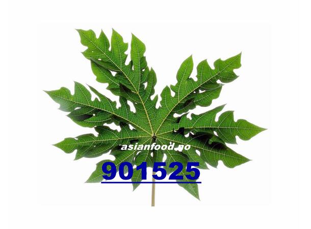 Papaya leaf 200g La du du VN