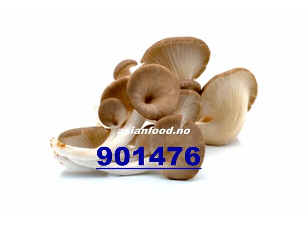 Mushroom phoenix 200g Nam Bao ngu KH
