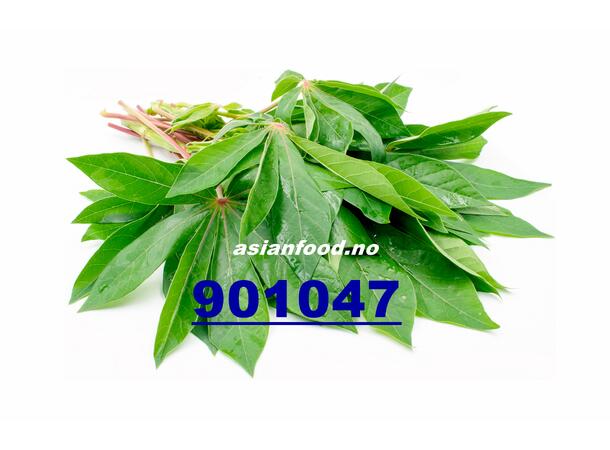 Casava leaf 200g La khoai mi TH