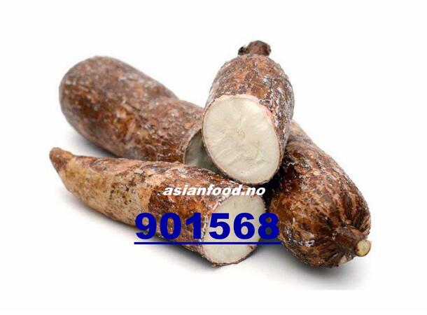 Cassava kg Cu san mi KH