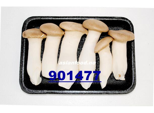 Mushroom erryngii 200g Nam dui ga KH