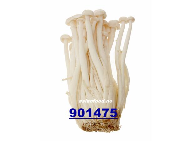 Mushroom snow white 150g Nam Bach tuyet KH