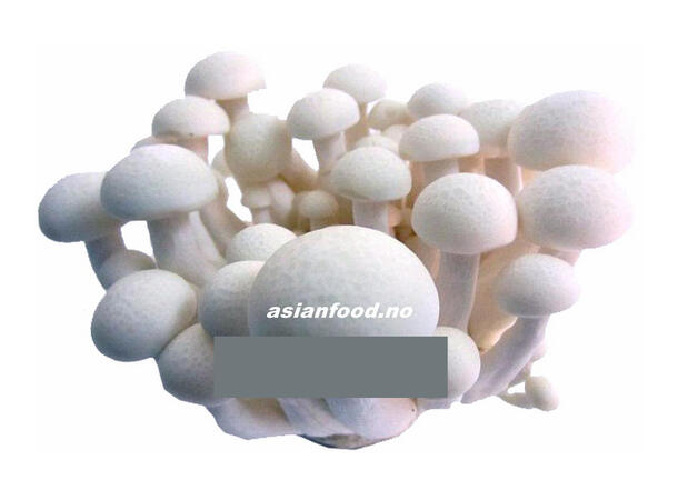 White shimeji mushroom 200g Nam linh chi trang TH