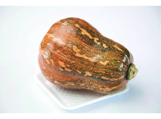 Pumpkin big 5-6 kg Bi ro lon TH
