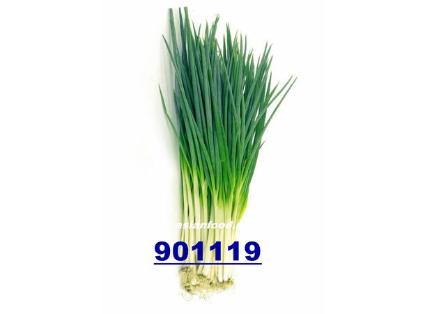Spring onion 80g Hanh la TH