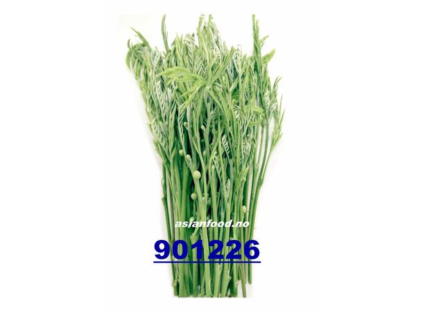 Young Acacia Flower 80g. TH