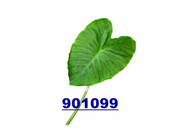 Taro leaf 200g La khoai mon TH