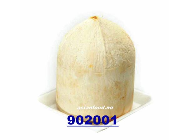 Young coconut 300gr - 500gr Dua xiem TH