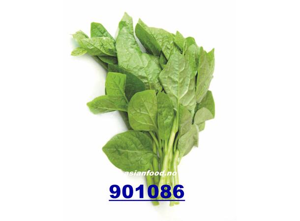 Pak plang / chinese spinach 200g Mong toi TH