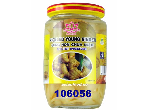 LOTUS Pickled young ginger 24x390g Gung non chua ngot  VN