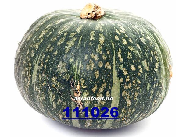 Kabocha pumpkin 18kg Japansk gresskar / Bi ro trai tron