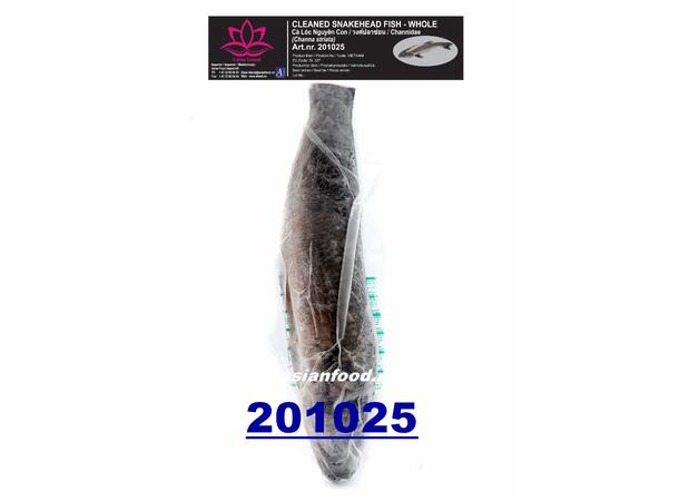 LOTUS Striped Snakehead whole clean 10kg Ca loc lam sach (800g+/pcs)  VN