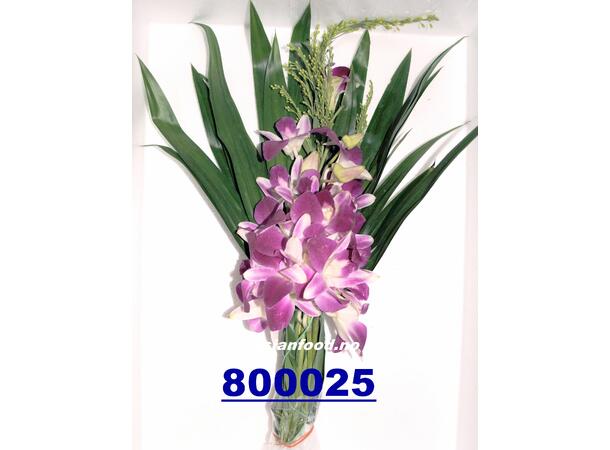 Orchids 200g Orkideer / Hoa lan BUTIKK