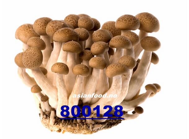 Winso health mushroom (Brown) 150g Nam linh chi nau BUTIKK