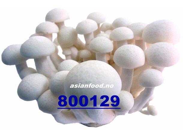 Winso health mushroom (White) 150g Nam linh chi trang BUTIKK
