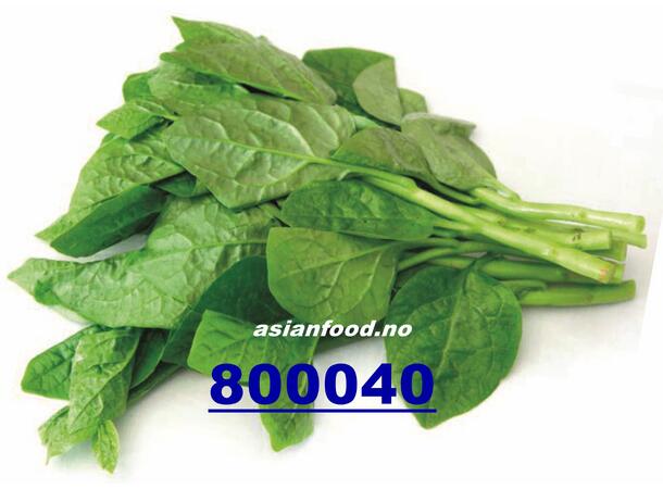 Ceylon spinach 200g Rau mong toi BUTIKK