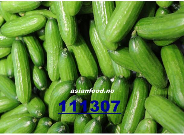 Cucumbers Mini 4kg Agurk mini / Dua leo mini