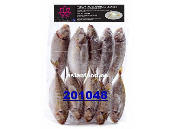 LOTUS Yellowtail scad whole cleaned Ca ngan nguyen con 10x1kg  VN