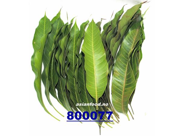 Mango leaf 200g Mangoblader / La xoai  BUTIKK