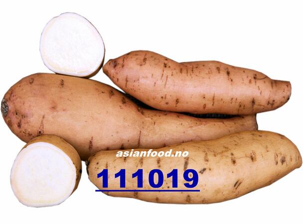 Sweet potato white (M) 10kg Søtpotet hvit / Khoai lang trang  BR