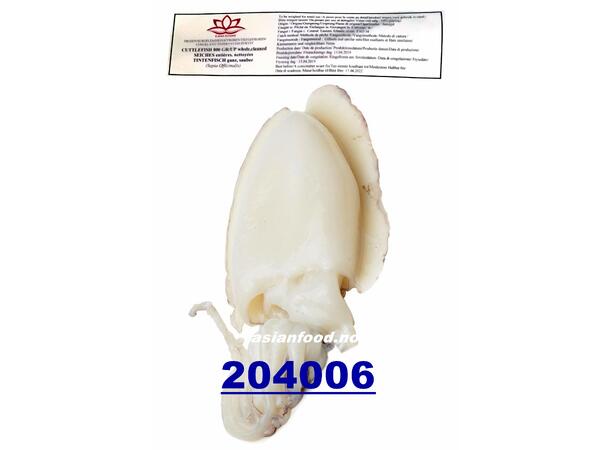 Cuttlefish/Sepia Whole Clean IWP 10kg Muc nang U1 (800/1200g)  IN