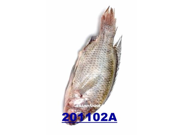 Tilapia gutted & descaled 600g/800g Ca ro phi lam sach 2x4kg  CN