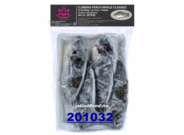 LOTUS Climbing perch whole cleaned Ca ro dong lam sach 25x400g (4pcs)  VN