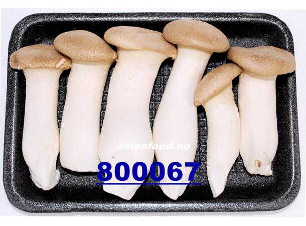 Eryngii mushroom 200g Eryngii sopp / Nam dui ga BUTIKK