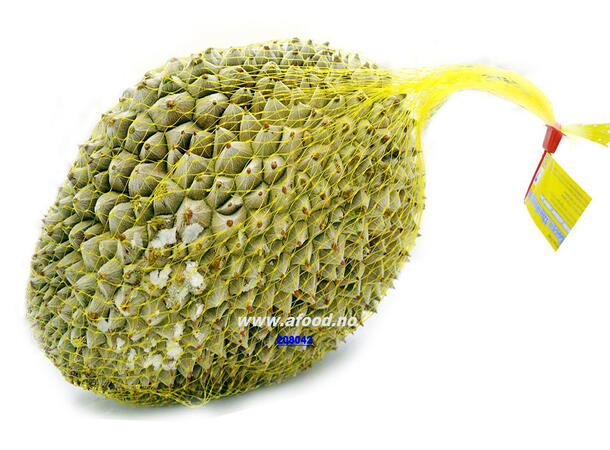 LOTUS Frozen durian (whole) 14kg Sau rieng nguyen trai  VN