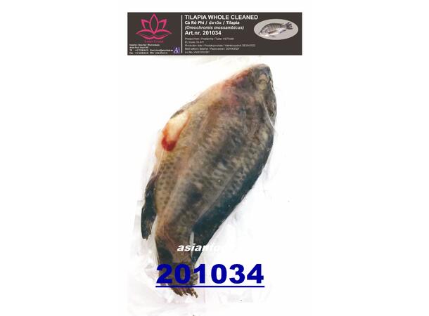 LOTUS Tilapia whole cleaned 2x4kg ERSTAT-Ca ro phi lam sach (800g+/ pc) VN