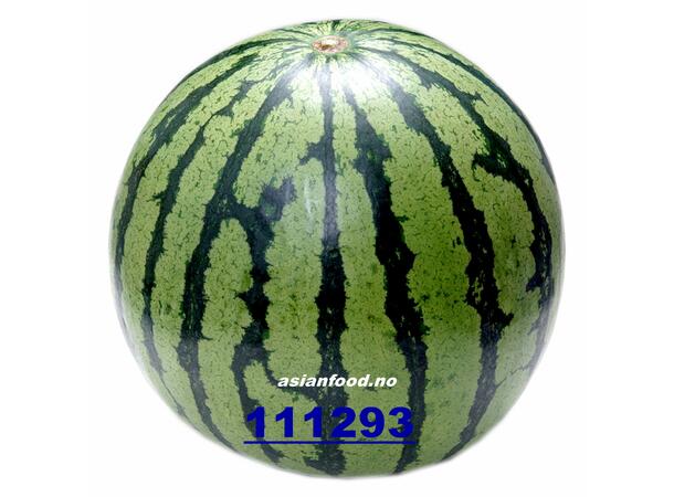 Water melon 16KG Vannmelon / Dua hau