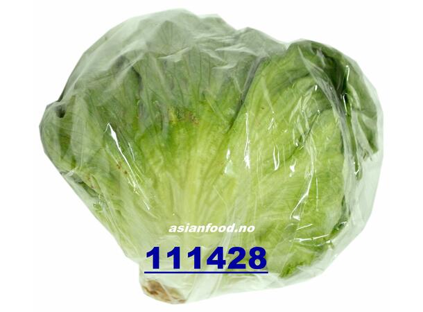 Iceberg Lettuce  5kg Isbergsalat / Bup salat