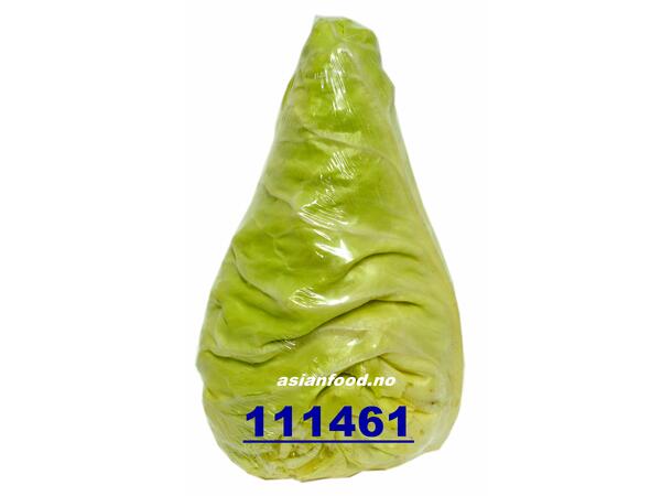 Pointed cabbage 8kg Spisskål / Bap cai