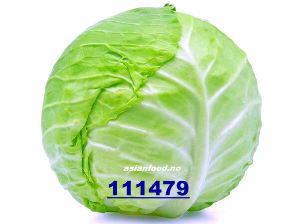 White cabbage bale 10kg Hodekål / Bap cai