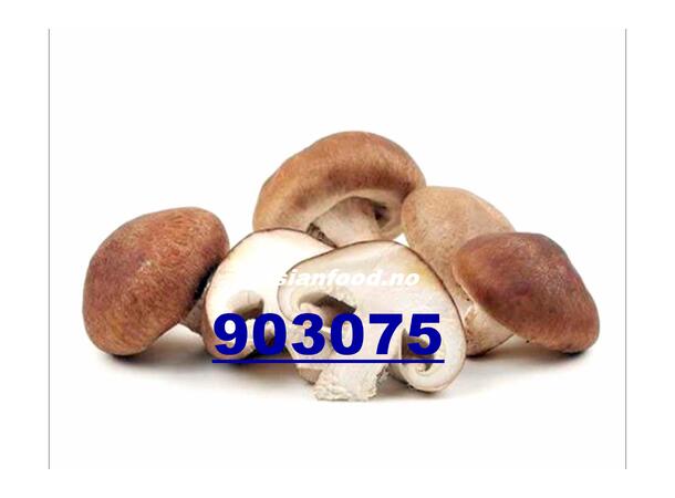 Shiitake / Hom mushroom 200g Nam dong co KH