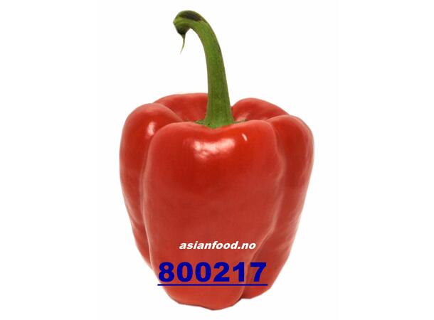 Bell pepper red 1kg Paprika rød / Ot chuong do BUTIKK
