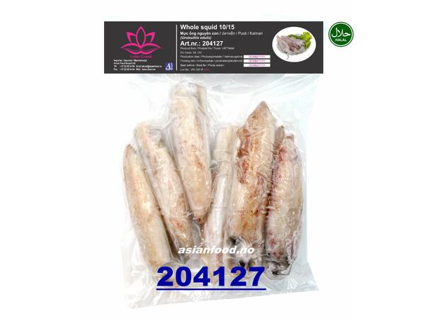 LOTUS Whole squid cleaned  L:10cm-15cm Muc ong nguyen con 10x1kg  VN