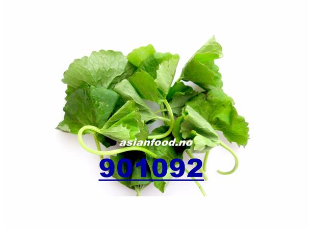 Pennywort leaf 80g Rau ma TH