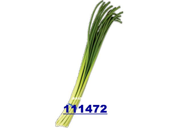Garlic sprout 50x200gr hvitløkspirer / ngong toi CN