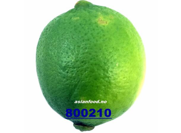 Lime  1kg Chanh xanh BUTIKK