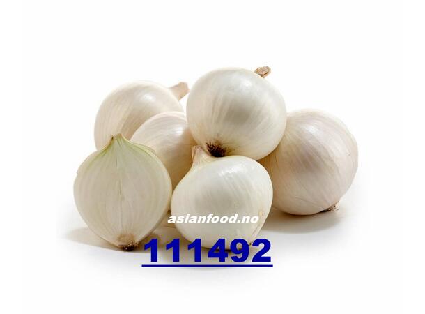 Onion - white 10kg Løk hvit / Hanh cu
